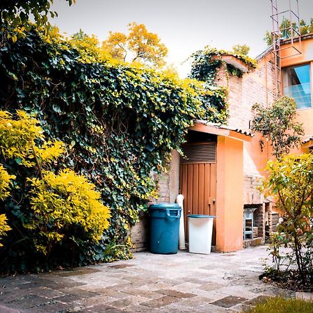 Suites Cuija Coyoacan Meksika Dış mekan fotoğraf