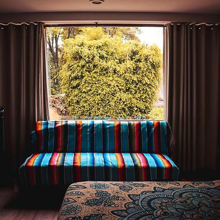 Suites Cuija Coyoacan Meksika Dış mekan fotoğraf