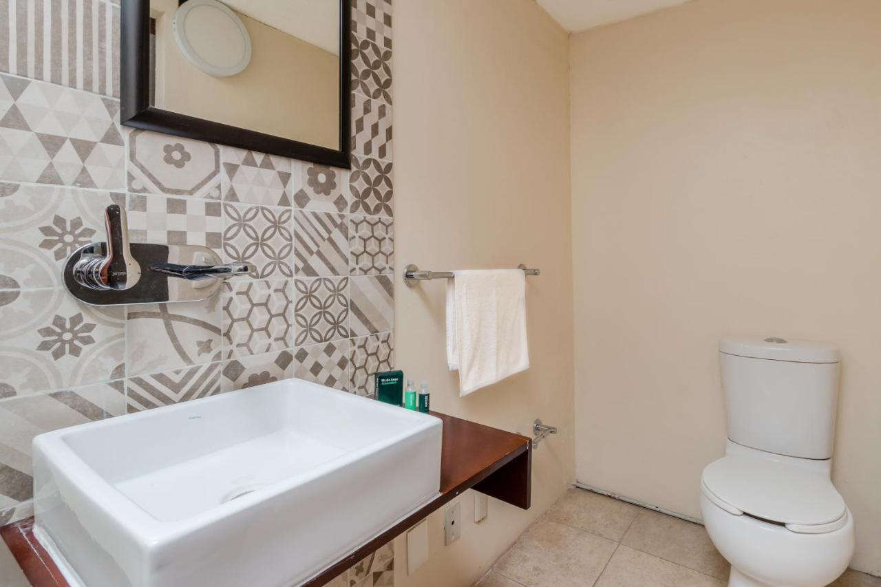 Suites Cuija Coyoacan Meksika Dış mekan fotoğraf