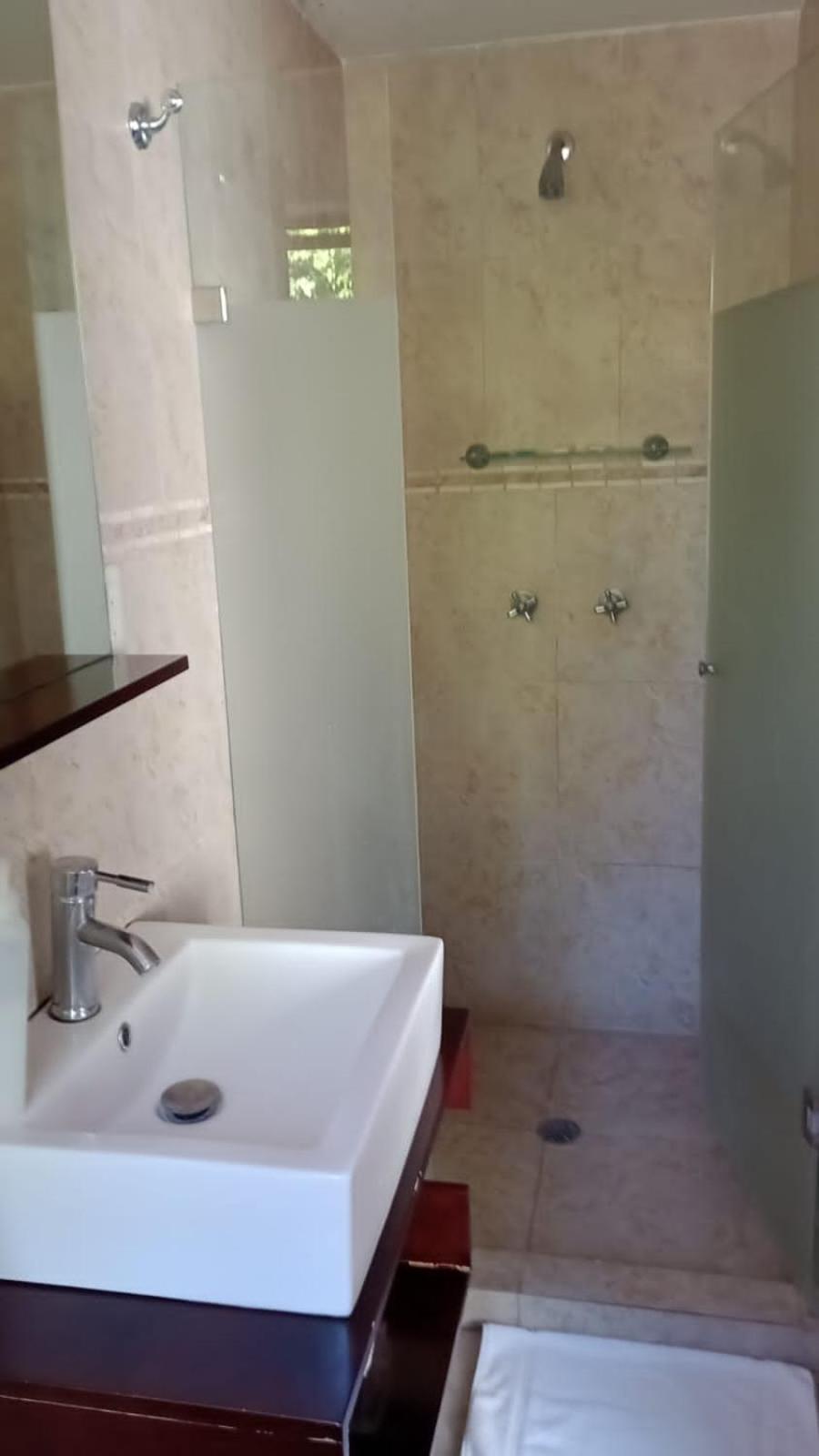 Suites Cuija Coyoacan Meksika Dış mekan fotoğraf