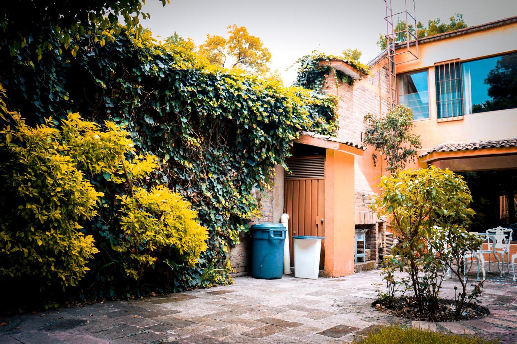 Suites Cuija Coyoacan Meksika Dış mekan fotoğraf