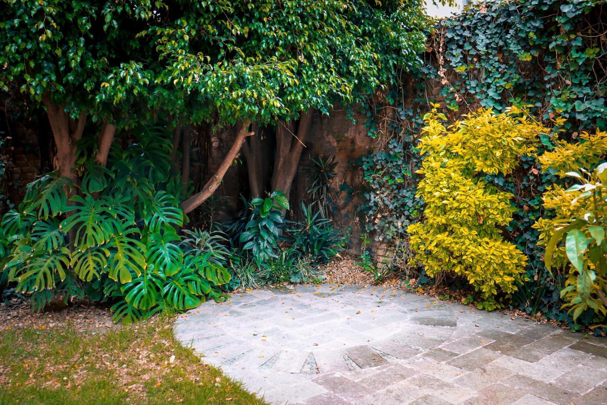 Suites Cuija Coyoacan Meksika Dış mekan fotoğraf
