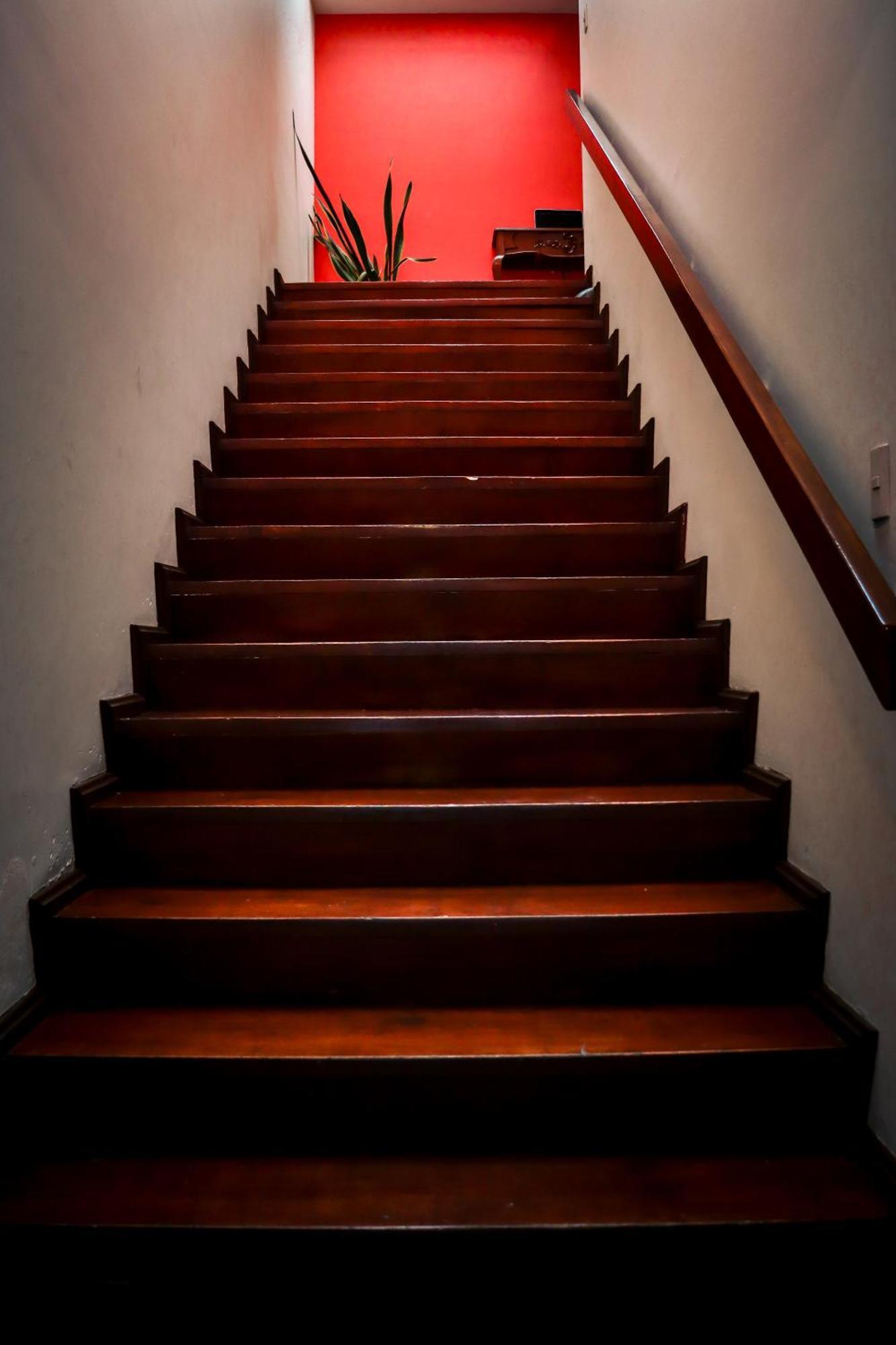 Suites Cuija Coyoacan Meksika Dış mekan fotoğraf