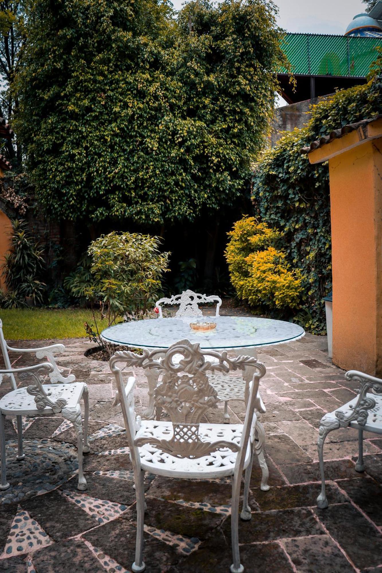 Suites Cuija Coyoacan Meksika Dış mekan fotoğraf