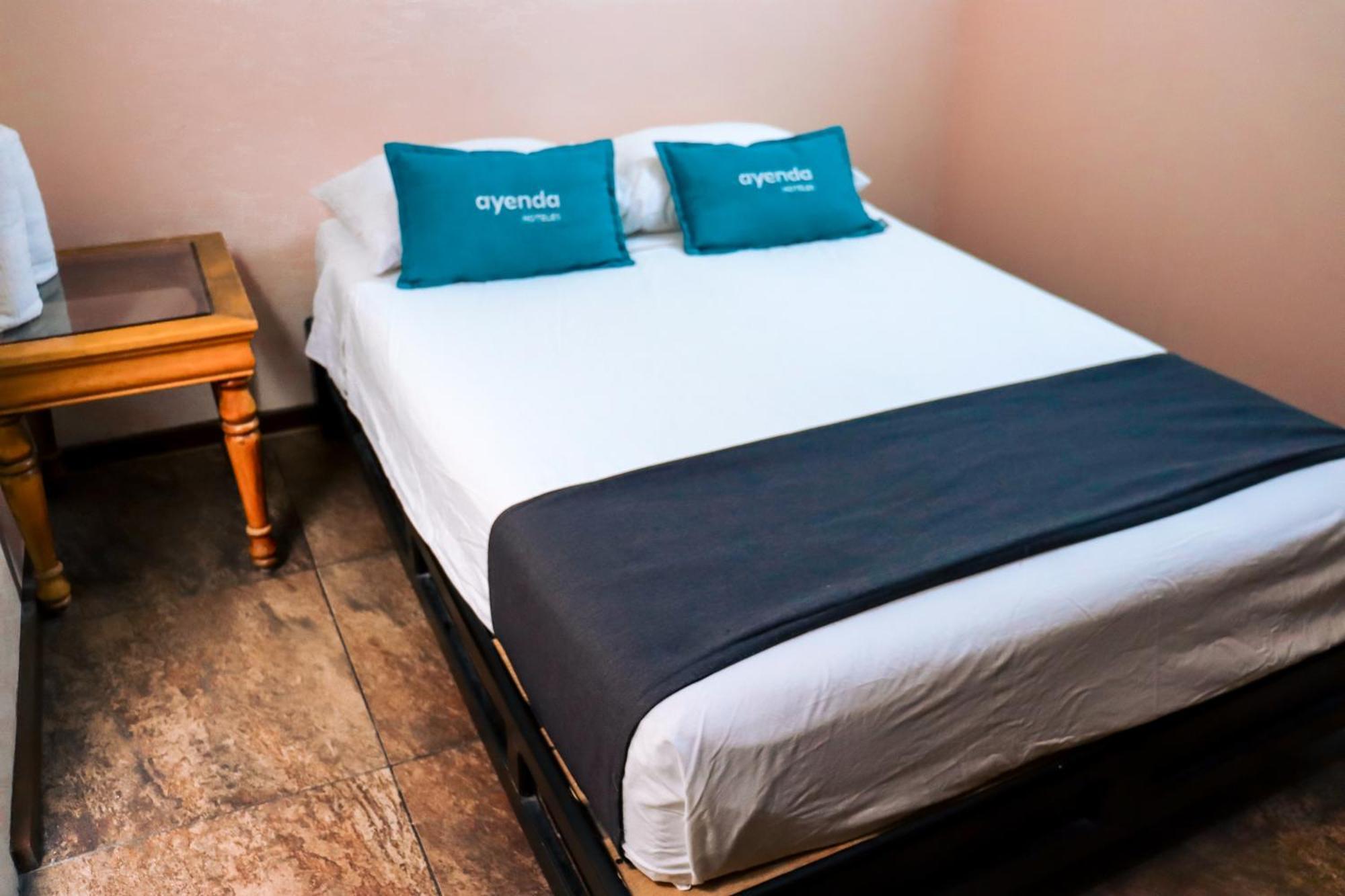 Suites Cuija Coyoacan Meksika Dış mekan fotoğraf