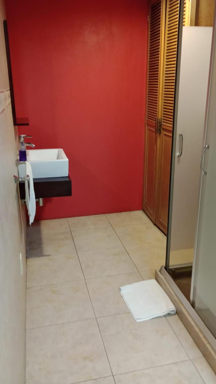 Suites Cuija Coyoacan Meksika Oda fotoğraf